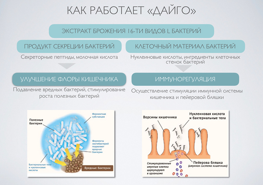 Иммунитет VS коронавирус: как помочь защитным силам организма