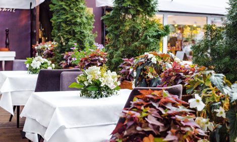 Moscow Food: what's new?   Новый ресторан «4/1» в Калашном переулке, музыкальные уикенды в Uhvat и «голодный шеф» в Vasilchuki Chaihona № 1