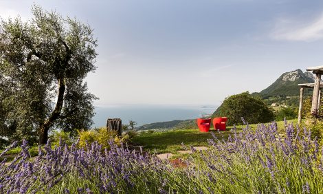 Travel-дайджест: пятилетние визы в&nbsp;ОАЭ, майские скидки в&nbsp;Катаре и&nbsp;другие новости