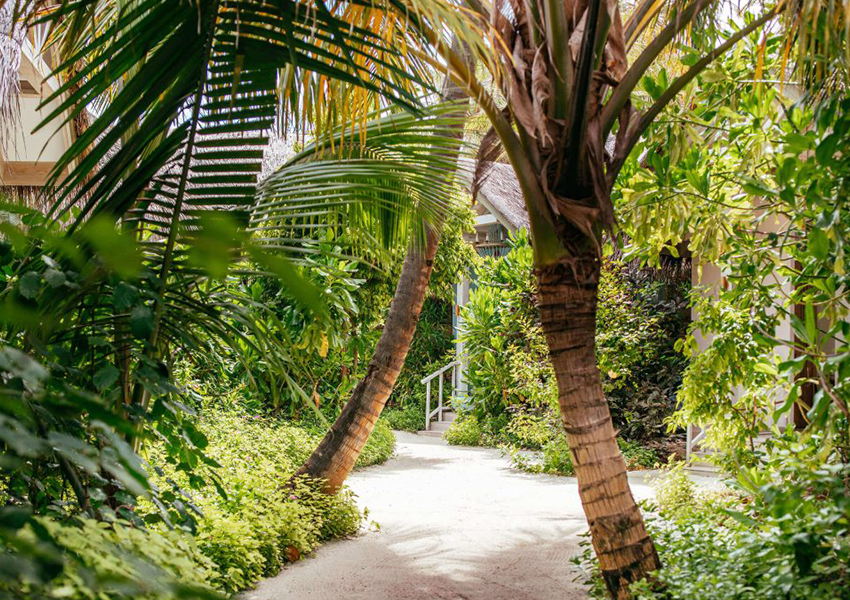 Finolhu Baa Atoll Maldives
