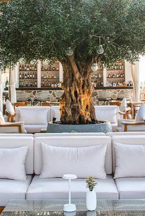 Laguna Lounge&nbsp;&mdash; новый пляжный бар на&nbsp;Палм-Джумейре
