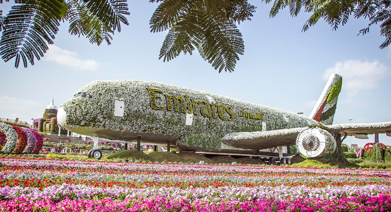 Цветочный парк Dubai Miracle Garden вновь откроется в октябре