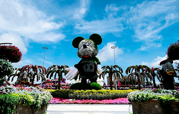 Цветочный парк Dubai Miracle Garden вновь откроется в октябре