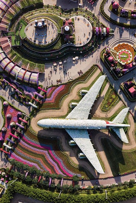 Dubai Guide: цветочный парк Miracle Garden вновь откроется в&nbsp;октябре