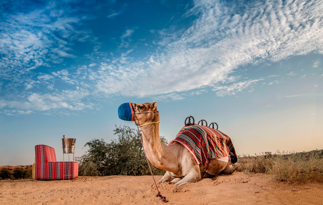The Ritz-Carlton Ras Al Khaimah, Al Wadi Desert