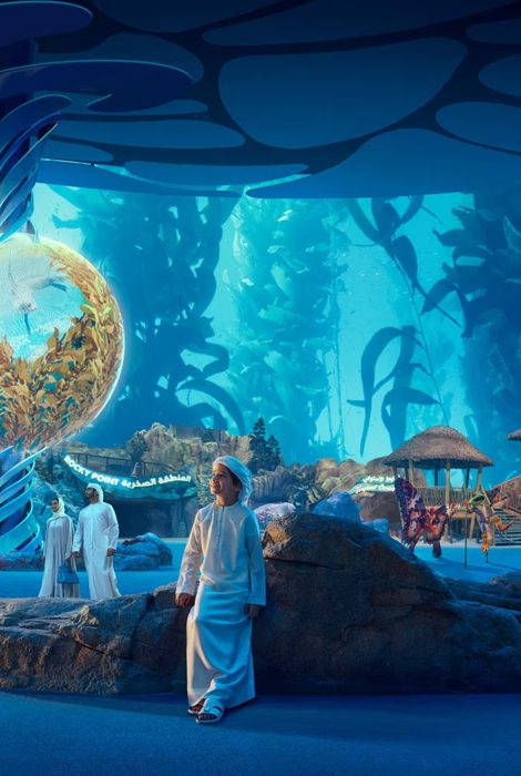 В&nbsp;Абу-Даби откроется океанариум SeaWorld Abu Dhabi