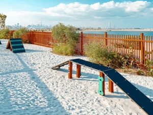Dubai Guide: открытие первого в&nbsp;городе пляжа для собак