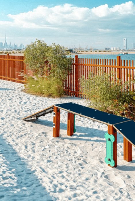 Dubai Guide: открытие первого в&nbsp;городе пляжа для собак
