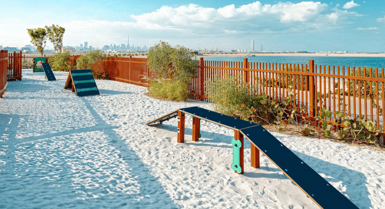 Dubai Guide: открытие первого пляжа для собак