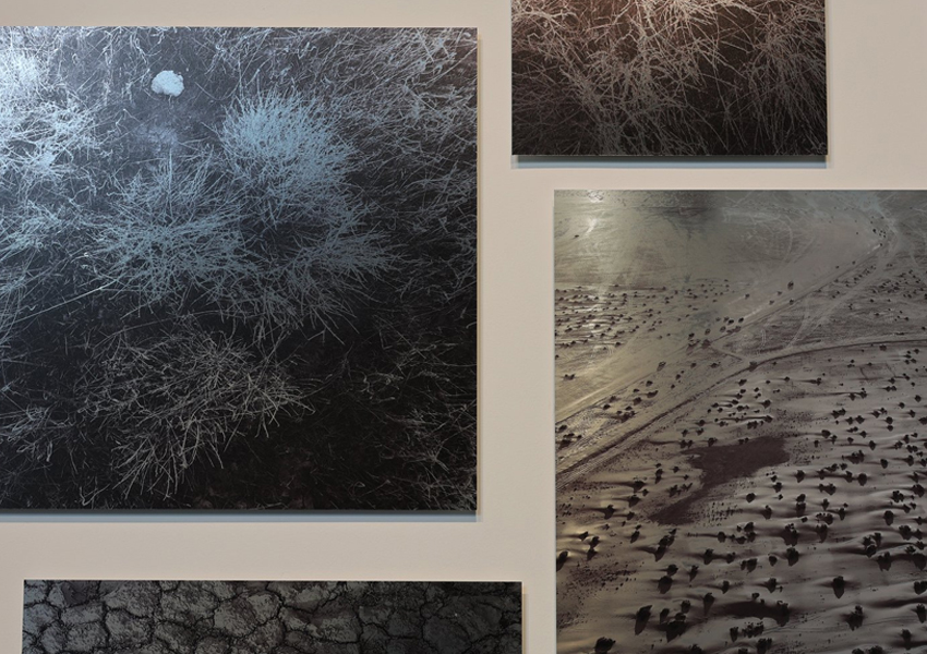 The Voyager is the Narrator: New York & Paris Residency Exhibition («Путешественник-рассказчик»)