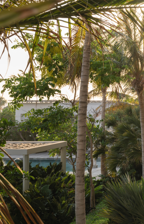 Новый отель: Delano Dubai откроет свои двери уже в октябре