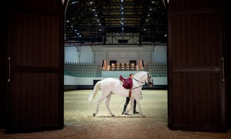 Abu-Dhabi Guide: в&nbsp;столице ОАЭ открывается Королевская школа конного искусства