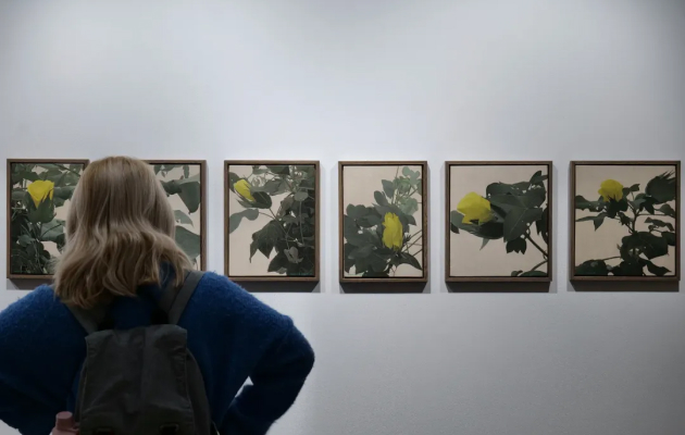 Hafez Gallery